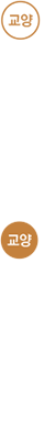 교양