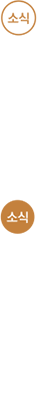 소식