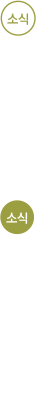 소식