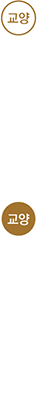 교양