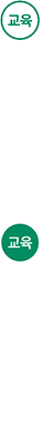 교육