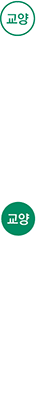 교양