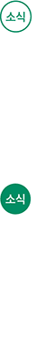 소식