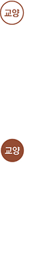교양