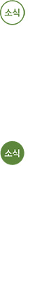 소식