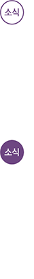 소식