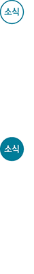 소식