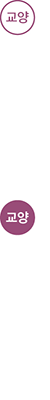 교양