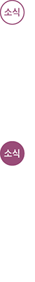 소식