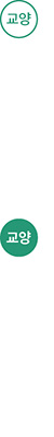 교양