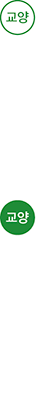 교양