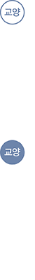 교양