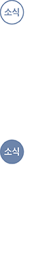 소식