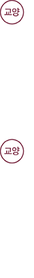 교양